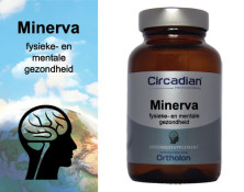 Minerva